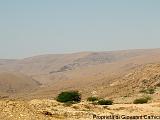 YEMEN (06) - Wadi Daw'an - 09